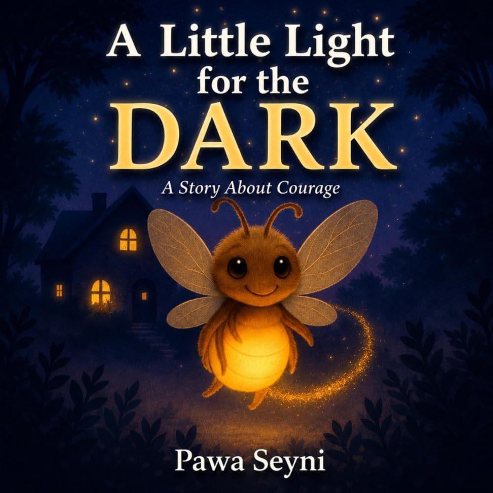 A Little Light for the Dark, book cover